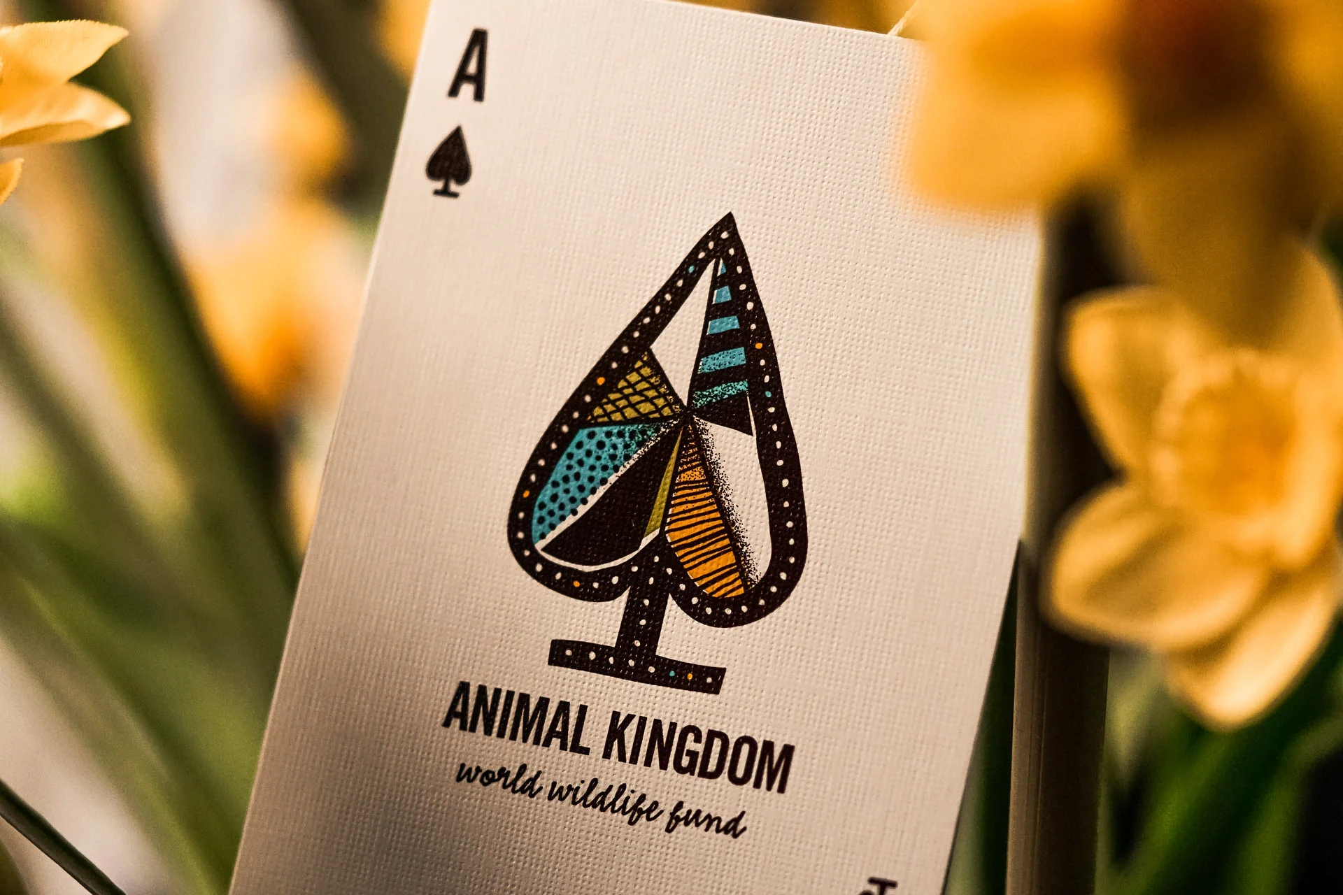 Animal Kingdom - Image 5