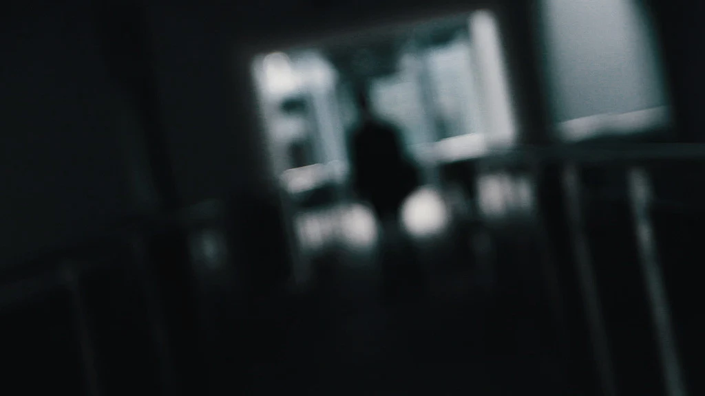 Decoy by Eoin O'Hare - Image 11