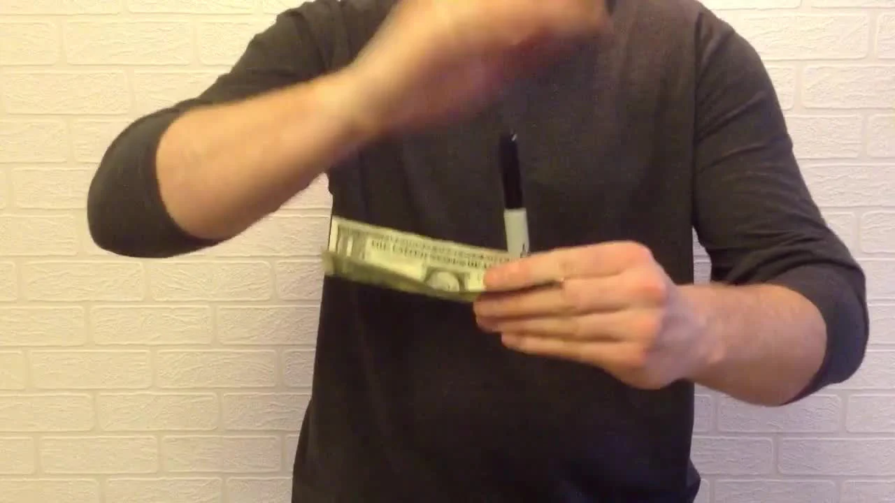 Fraudulence by Daniel Bryan
