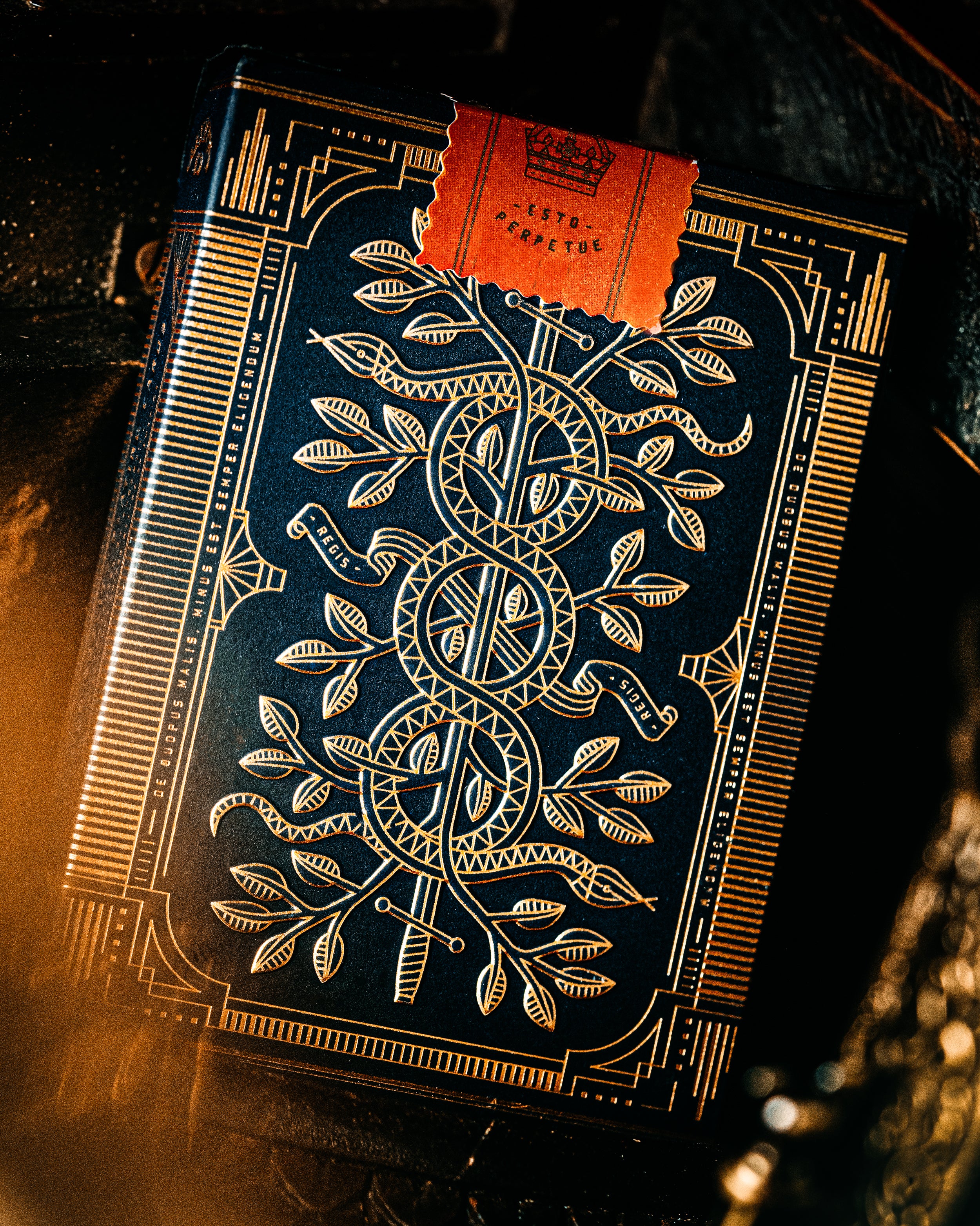 Monarchs - Image 7