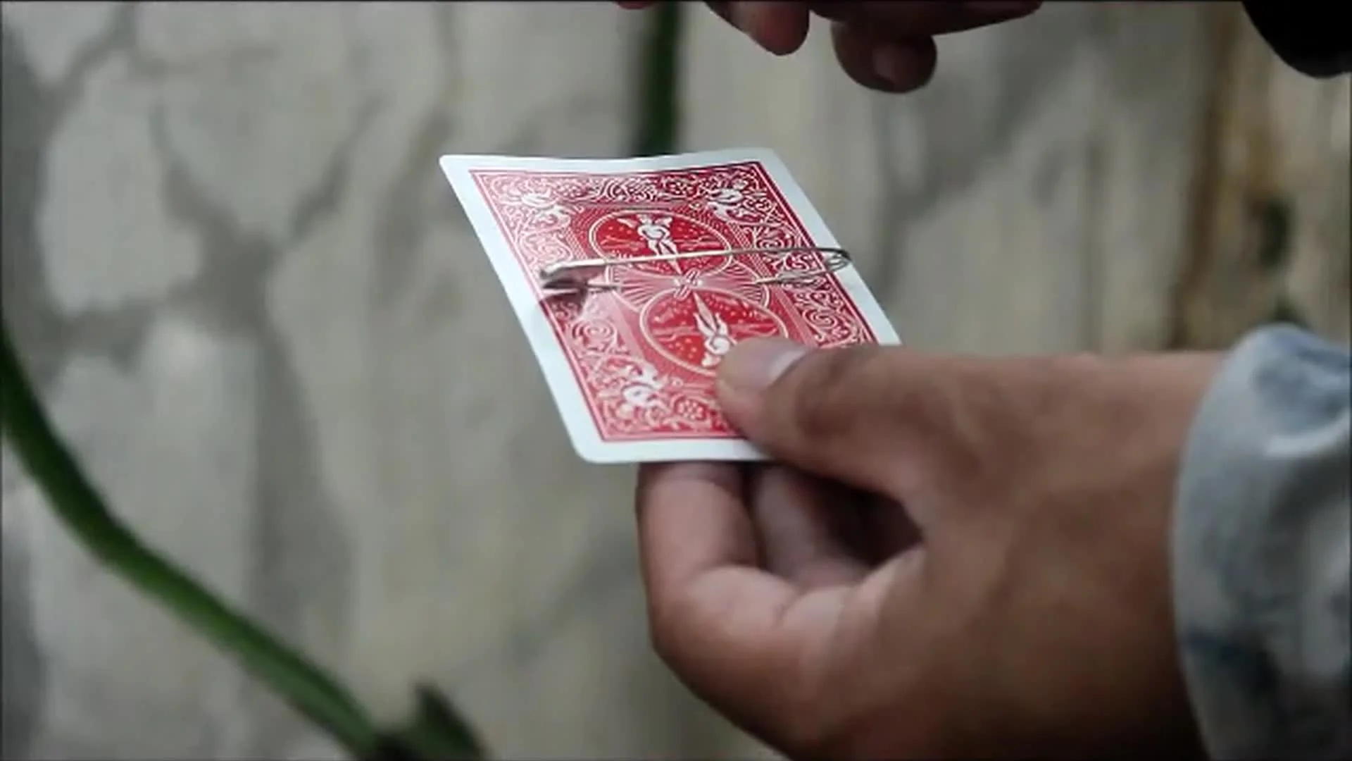 Pin by Arnel Renegado