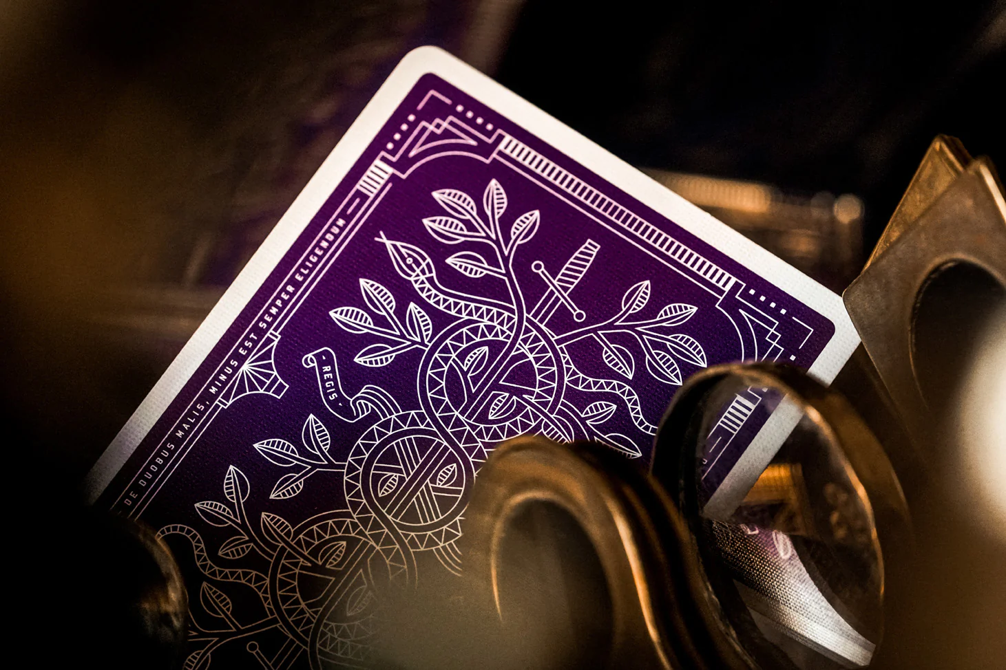 Purple Monarch - Image 8