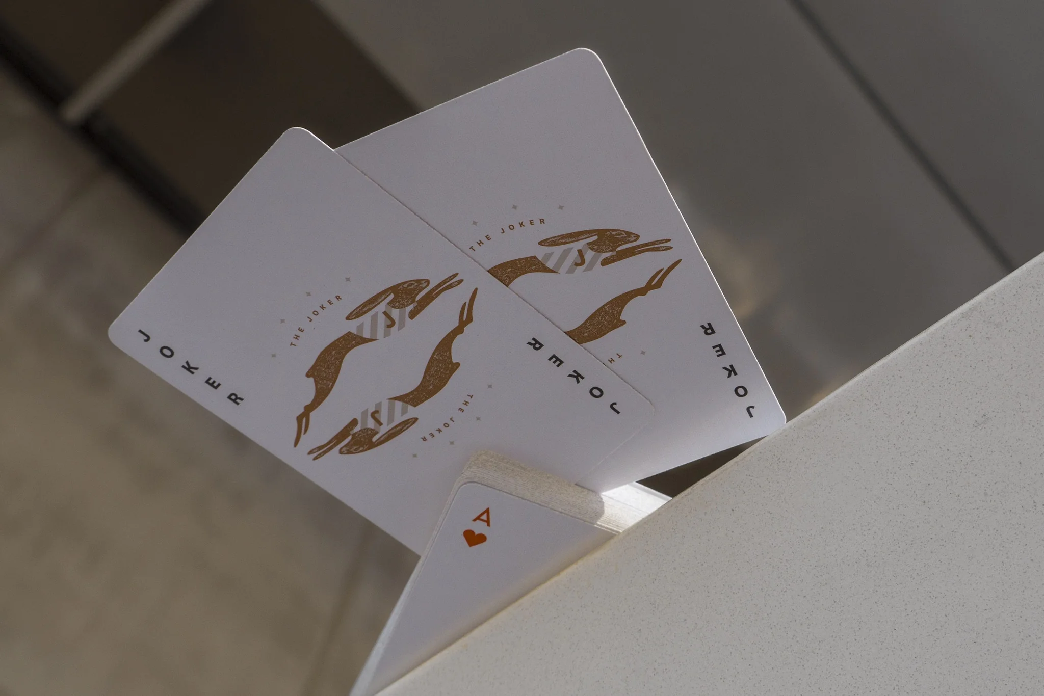 Rarebit Copper Edition - Image 6
