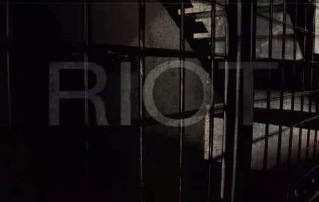 RIOT by Dan Hauss - Image 2