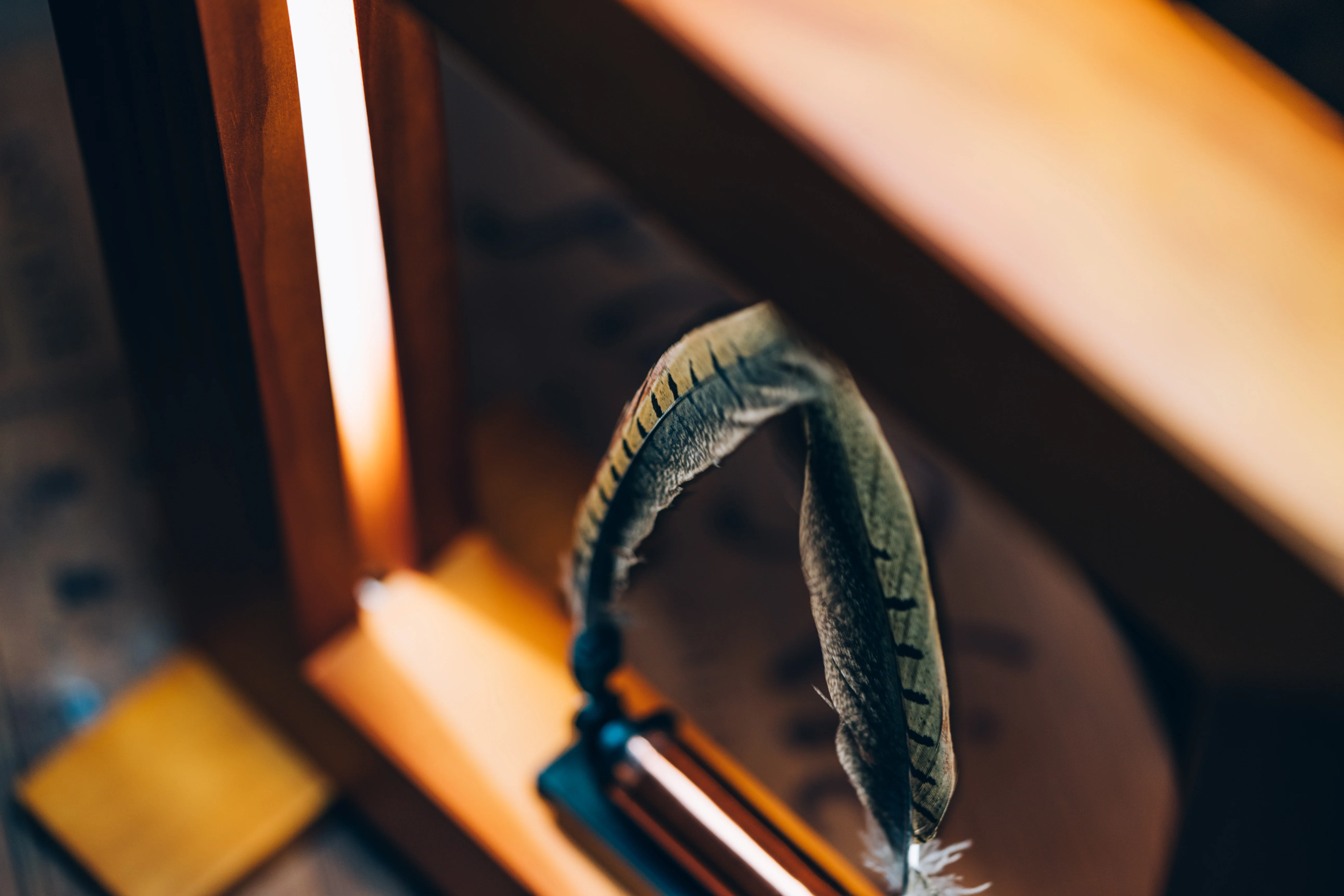 Slow Dance - Image 14