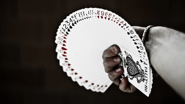 Tally-Ho Fan Backs - Image 11